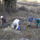 20112308130806-493.jpg